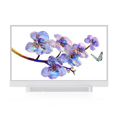 OEM ODM schermo OLED trasparente, 55 display OLED trasparente