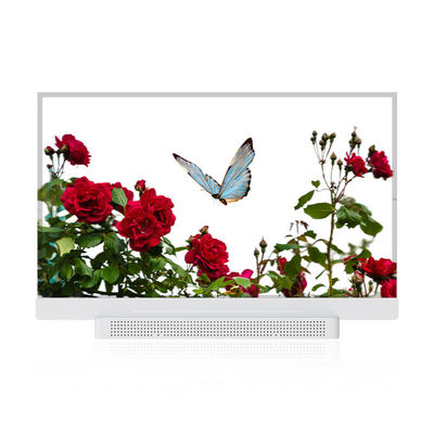 OEM ODM schermo OLED trasparente, 55 display OLED trasparente