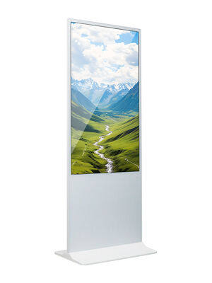 55 pollici Android OS LCD Digital Signage con 350 Cd / m2 Luminosità per schermo pubblicitario interno / esterno