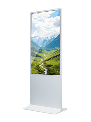 55 pollici Indoor LCD Digital Signage con 350 Cd/m2 di luminosità e Android OS per schermo pubblicitario