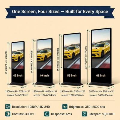 55 pollici Indoor LCD Digital Signage Touchscreen Totem Kiosk con Android OS 500 Cd/m2 Luminosità
